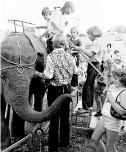 Elephant and Girl