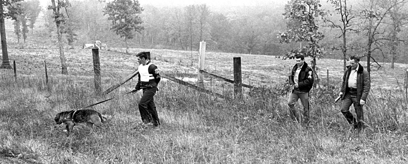 Dogs track fugitive Willie Joe Taylor Dogs track fugitive Willie Joe Taylor over the rugged Ozarks' terrain in south central Missouri.